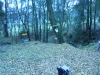 Dassel Autumn Challenge 2011