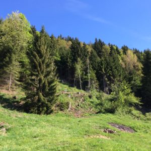 bild10