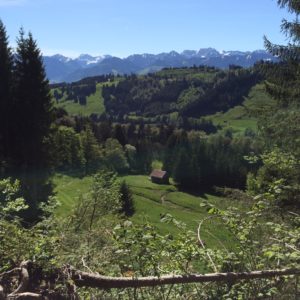 bild9